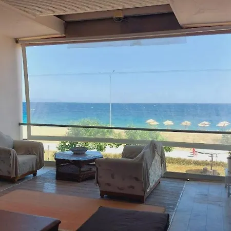 Big Dino's Galini * Vrasná