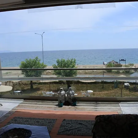 ゲストハウス Big Dino's Galini *