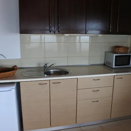 ゲストハウス Big Dino's Galini Vrasná